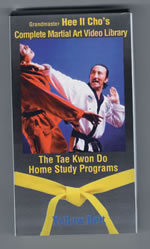 Yellow Belt