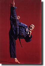 Grandmaster Hee Il Cho