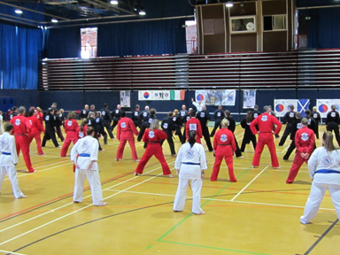 Jersey 2012