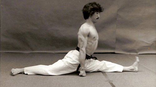Grandmaster Hee Il Cho