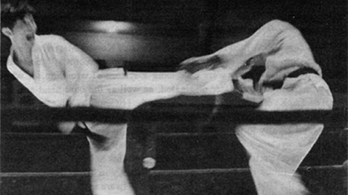 Grandmaster Hee Il Cho