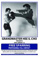 DVD 12: Free Sparring - Professional Full Contact