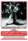 DVD 29: Children's Martial Arts Training, Sparring & Breaking