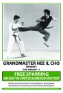 DVD 11: Free Sparring - Amateur