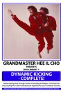 DVD 7: Dynamic Jump Kick